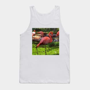 Pink Flamingos Tank Top